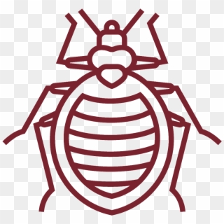 Crawling Pest Collection - Bed Bug Vector Clipart