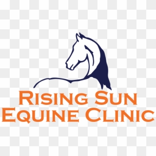 Equine Acupuncture - Stallion Clipart