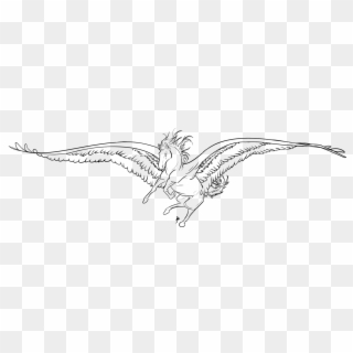 Png Library Download Albatross Drawing Feather - Sketch Clipart