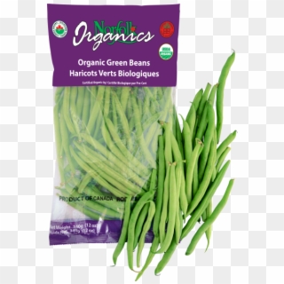 We Also Pack 10 Lb Or 25 Lb Cartons Or Rpc - Green Bean Clipart