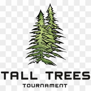 2019 Palo Alto Summer Tall Tree - Christmas Tree Clipart