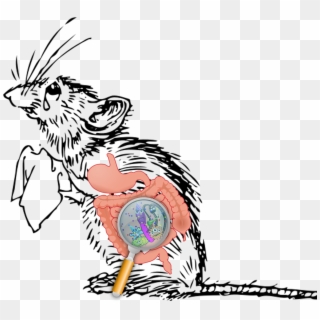 The Brain And Gut Have A Communication Line Through - Sad Mouse Cartoon Clipart