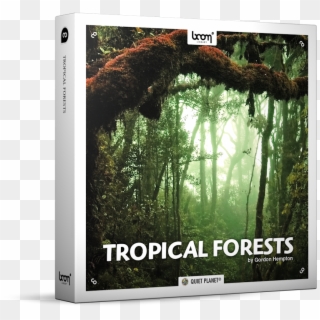 Tropical Forests Nature Ambience Sound Effects Library - High Resolution Jungle Background Clipart