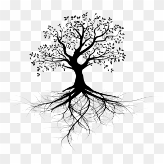 Invest In Ceiba Beach Resort And Residences - Clip Art Tree With Roots Black And White - Png Download