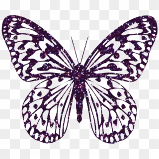Purple Decorative Butterfly Png Clipart Image - Pink Butterfly Transparent Background