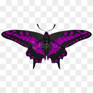 Free Png Download Butterfly Purple Black Clipart Png - Swallowtail Butterfly Transparent Png
