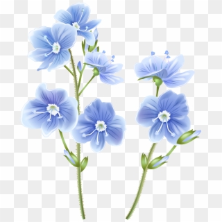 Wildflower Blue Png Clip Art Image - Transparent Wildflower Clipart