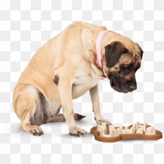 Slow Feeding Dog Bowl To Slow Eating Clipart