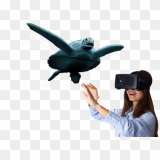 Virtual Reality - Pigeons And Doves Clipart