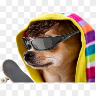 Friend That I Forgot To Make Doggo Of - Cool Dog Png Clipart