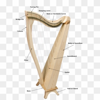 Diagram Of Fh34 Lever Harp With Parts Labeled - Harp Soundboard Clipart