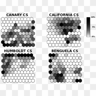 Distribution Of The Canary, California, Humboldt And - Circle Clipart