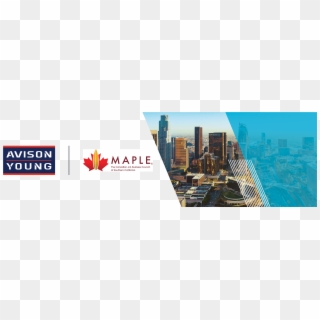 Avison Young Southern California Joins Maple Business - Avison Young Clipart