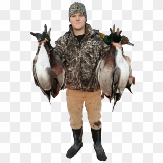 Western Mn Duck Hunt Prices - Canada Goose Clipart
