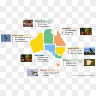 Biby Autumn Survey Results - Australia In Winter Clipart