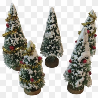 5 Flocked Bottle Brush Trees Tinsel Berries And Mercury - Christmas Tree Clipart