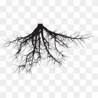 Soil And Roots Png Clipart Black And White Download - Tree Roots Silhouette Png Transparent Png