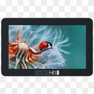 Shop Now Focus Series - Small Hd 5 Inch Monitor Clipart