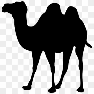 Mark Zuckerberg Png Clipart - Silhouette Camel Transparent Png