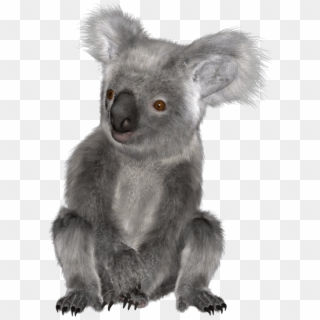 The Newest Koala Stickers On Picsart Clipart