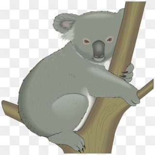 Koala Clipart Koala Clipart Graphics Of Koalas Clipart - Free Clip Art Koala - Png Download