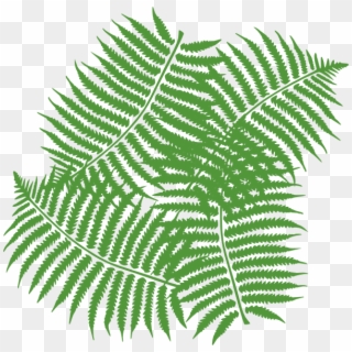 Leaves In Jungle Png Clipart