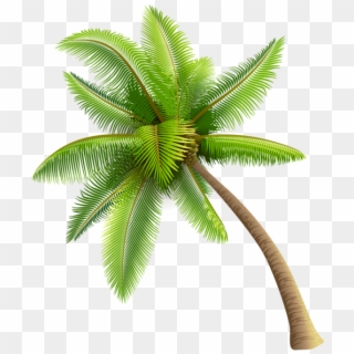 Green Palm Tree Png Clipart - Coconut Trees Vector Png Transparent Png