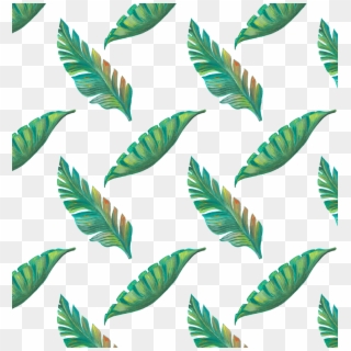 2215 X 2339 10 - Tropical Leaves Png Free Clipart