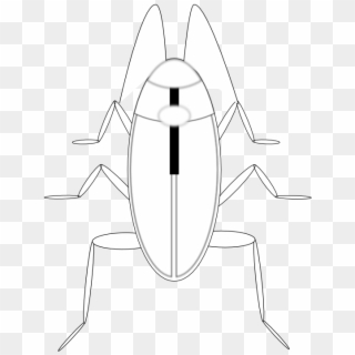 Cockroach Cucaracha Black White Line Art 555px - Cartoon Clipart