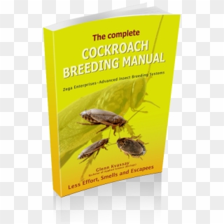 Cockroach Breeding Manual - Weevil Clipart