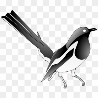 This Free Icons Png Design Of Oriental Magpie Robin - Oriental Magpie Robin Png Clipart