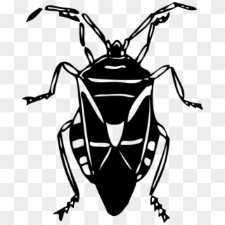 Cockroach Bug Insect Vector Clip Art - Bug Clip Art Black - Png Download