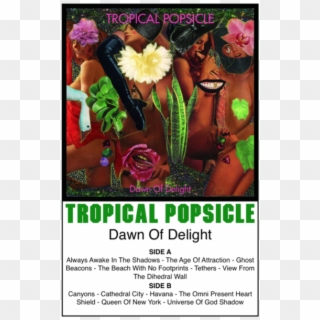 Tropical Popsicle- "dawn Of Delight" - African Daisy Clipart