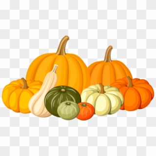 Download Autumn Pumpkins Png Images Background - Transparent Background Gourd Clipart