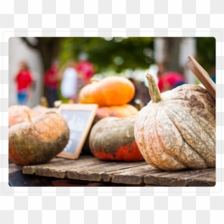 Our Pumpkins - Pumpkin Clipart