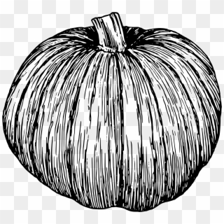 Black And White Pumpkin Drawing Clipart