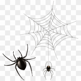 Spider And Cobweb Png Clipart Image - Painted Spider Transparent Png