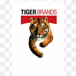 Tiger Brands Enterprise Development Graduation - Tigers Direct Marketing In Randburg Clipart