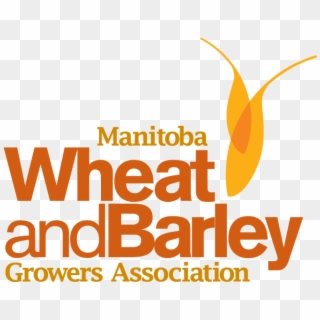 Http - //www - Mbwheatandbarley - Ca/wp Wheat And Barley - Graphic Design Clipart