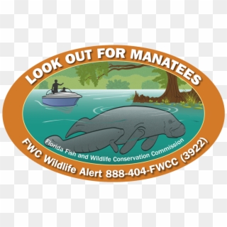 Decals Available To Show Support For Florida's Manatees, - Whale Clipart