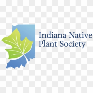 The Indiana Native Plant And Wildflower Society Is - Maple Leaf Clipart