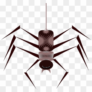 Cartoon, Bugs, Spider, Bug, Free, Web, Insect, Insects - Cartoon Spider Clipart