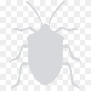 This Free Icons Png Design Of Stink Bug Clipart