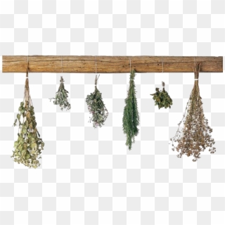 Pngs /like Or Reblog If Used/ - Hanging Dried Herbs Png Clipart