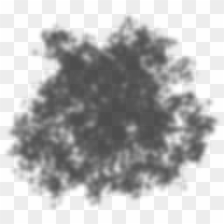 Tree Shadow Png Clipart