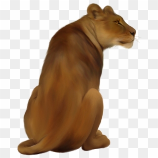 Lioness Png Pic - Lioness Png Clipart
