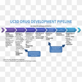 Drugdevelopmentpipeline - Drug Development Steps Clipart