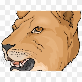 Lioness Clipart Fossa - Lion Face Coloring Page - Png Download