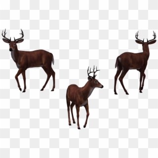 Buck Png - Deer Clipart