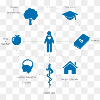 Apha Health Influences - Care Coordination Determinants Of Health Clipart